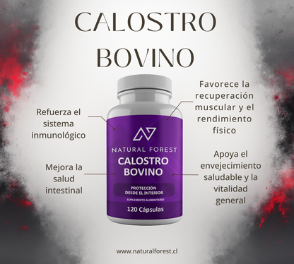 Calostro Bovino 120 Cápsulas 600mg