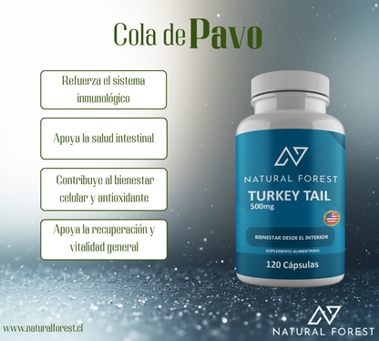 Turkey Tail 500mg 120 Cápsulas Sabor Neutro