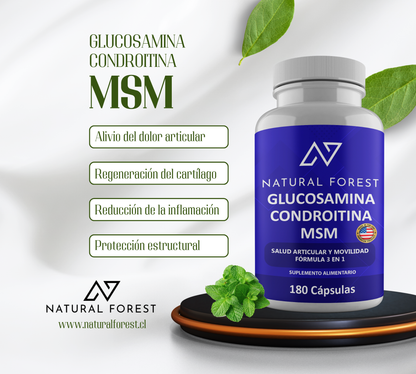 Glucosamina, Condroitina, Msm 180 Cápsulas Natual Forest Usa