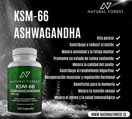Ashwagandha KSM-66 120 Cápsulas – Suplemento Antiestrés Natural