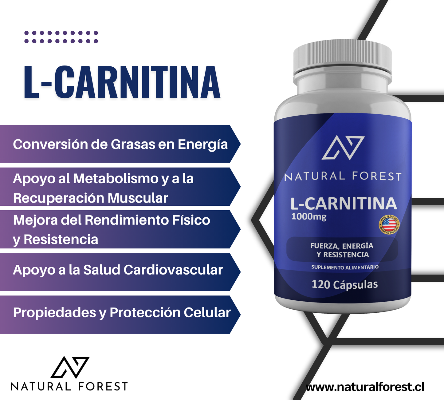 L-carnitina 1000 Mg Natural 120 Caps / Made In Usa Sabor Neutro