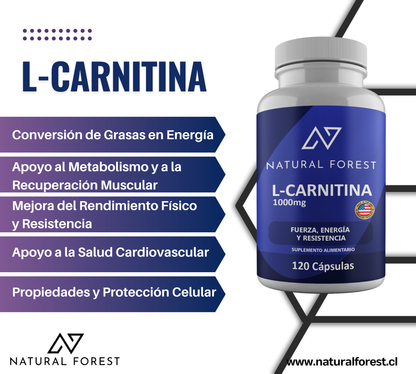L-carnitina 1000 Mg Natural 120 Caps / Made In Usa Sabor Neutro