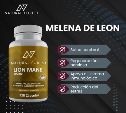 Hongo Melena De Leon 500mg