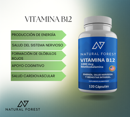 Vitamina B12 Metilcobalamina 120 Cápsulas Natural Forest Usa
